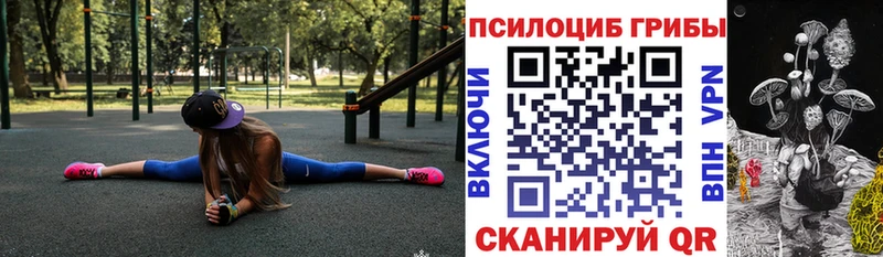 купить наркотик  Пролетарск  Псилоцибиновые грибы мицелий 