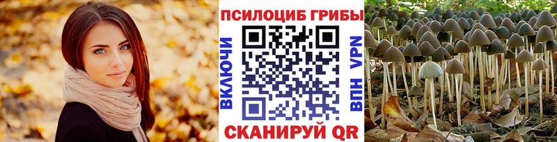 Псилоцибиновые грибы GOLDEN TEACHER Пролетарск