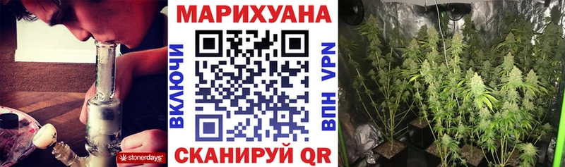 Канабис сатива  Пролетарск 